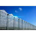 High-tech control glass hydroponic greenhouse for sale